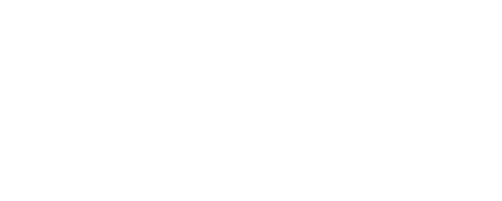 SARN NetworkHeader